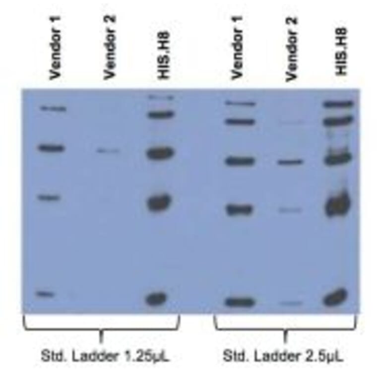 Zinc Trap Tags