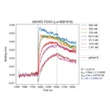 Binding curve - Anti-NeuN Antibody [1B7] (A85405) - Antibodies.com