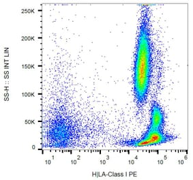 Flow Cytometry - Anti-HLA Class I Antibody [MEM-147] (PE) (A85471)