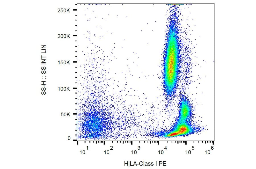 Flow Cytometry - Anti-HLA Class I Antibody [MEM-147] (PE) (A85471)