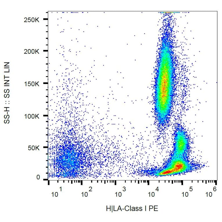 Flow Cytometry - Anti-HLA Class I Antibody [MEM-147] (PE) (A85471)