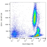 Flow Cytometry - Anti-HLA Class I Antibody [MEM-147] (PE) (A85471)