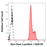 Flow Cytometry - Anti-HLA Class I Antibody [MEM-147] (A85472)