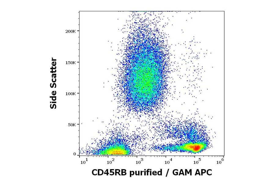 Flow Cytometry - Anti-CD45RB Antibody [MEM-143] (A85474)