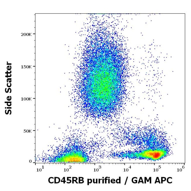 Flow Cytometry - Anti-CD45RB Antibody [MEM-143] (A85474)