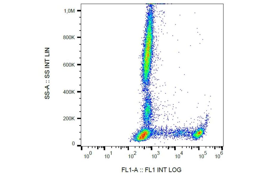 Flow Cytometry - Anti-CD8 Antibody [MEM-31] (FITC) (A85481)