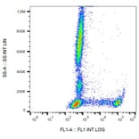 Flow Cytometry - Anti-CD8 Antibody [MEM-31] (FITC) (A85481)