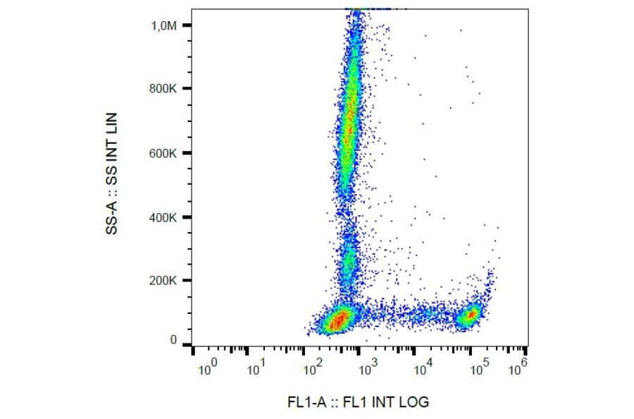 Flow Cytometry - Anti-CD8 Antibody [MEM-31] (FITC) (A85480) - Antibodies.com