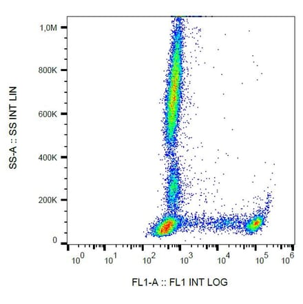 Flow Cytometry - Anti-CD8 Antibody [MEM-31] (FITC) (A85480) - Antibodies.com