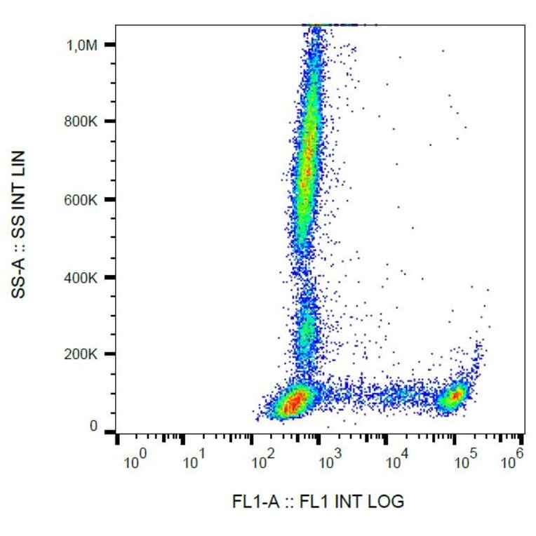 Flow Cytometry - Anti-CD8 Antibody [MEM-31] (FITC) (A85480) - Antibodies.com