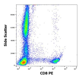 Flow Cytometry - Anti-CD8 Antibody [MEM-31] (PE) (A85482)