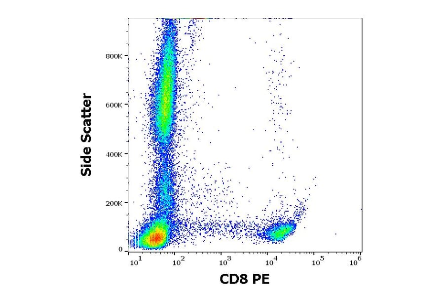 Flow Cytometry - Anti-CD8 Antibody [MEM-31] (PE) (A85482)
