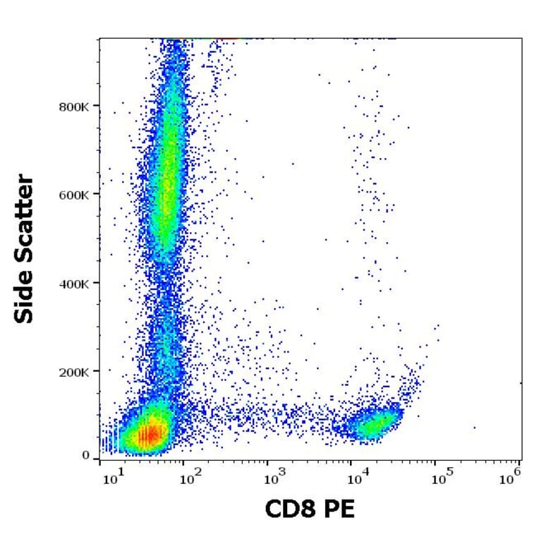 Flow Cytometry - Anti-CD8 Antibody [MEM-31] (PE) (A85482)