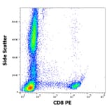 Flow Cytometry - Anti-CD8 Antibody [MEM-31] (PE) (A85482)
