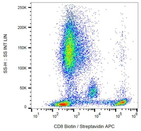 Flow Cytometry - Anti-CD8 Antibody [MEM-31] (Biotin) (A85486)