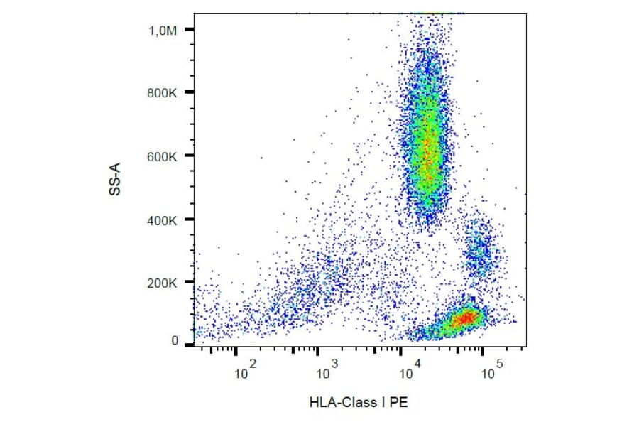 Flow Cytometry - Anti-HLA Class I Antibody [W6/32] (PE) (A85487)