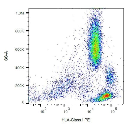 Flow Cytometry - Anti-HLA Class I Antibody [W6/32] (PE) (A85487)