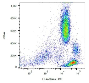 Flow Cytometry - Anti-HLA Class I Antibody [W6/32] (PE) (A85486) - Antibodies.com