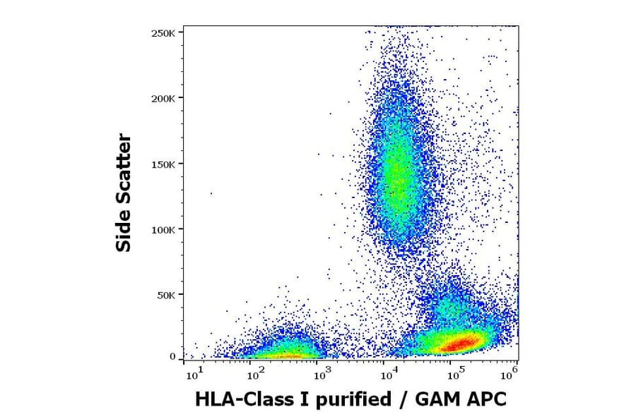 Flow Cytometry - Anti-HLA Class I Antibody [W6/32] (A85488)