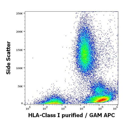 Flow Cytometry - Anti-HLA Class I Antibody [W6/32] (A85488)