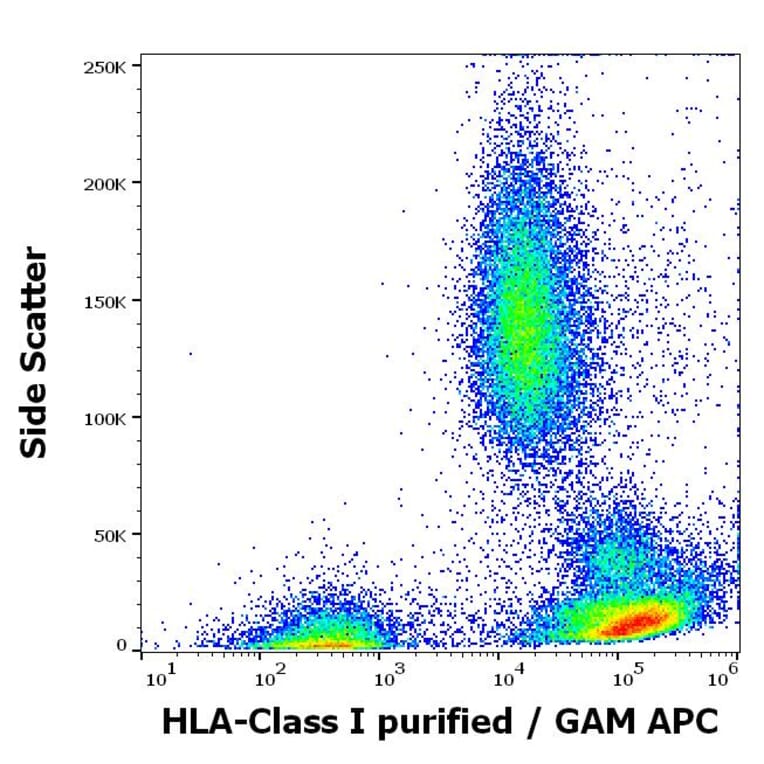 Flow Cytometry - Anti-HLA Class I Antibody [W6/32] (A85488)