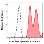 Flow Cytometry - Anti-HLA Class I Antibody [W6/32] (A85488)
