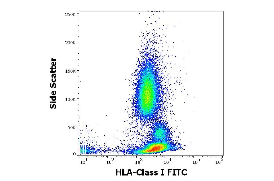 Flow Cytometry - Anti-HLA Class I Antibody [W6/32] (FITC) (A85490)