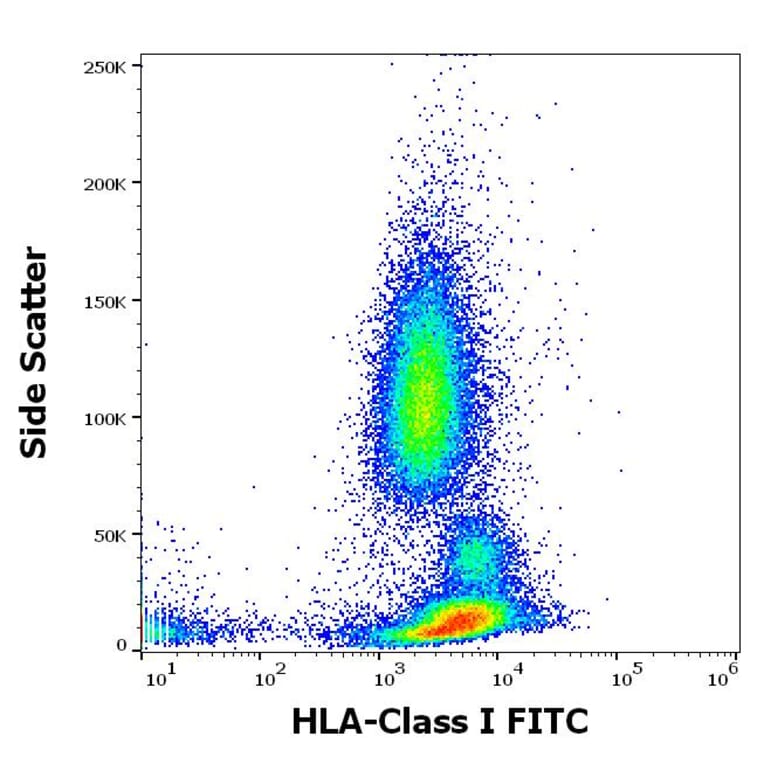 Flow Cytometry - Anti-HLA Class I Antibody [W6/32] (FITC) (A85490)