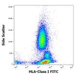 Flow Cytometry - Anti-HLA Class I Antibody [W6/32] (FITC) (A85490)