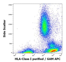 Flow Cytometry - Anti-HLA Class I Antibody [W6/32] - Low endotoxin, Azide free (A85491)