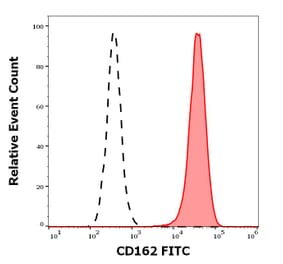 Flow Cytometry - Anti-CD105 Antibody [MEM-229] (FITC) (A85492)