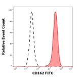 Flow Cytometry - Anti-CD105 Antibody [MEM-229] (FITC) (A85492)