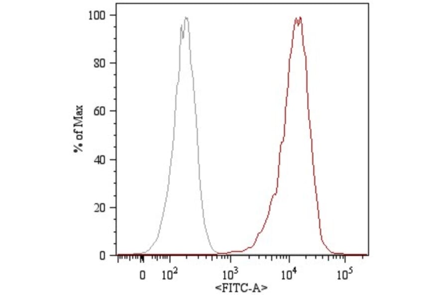 Flow Cytometry - Anti-CD105 Antibody [MEM-226] (FITC) (A85496) - Antibodies.com
