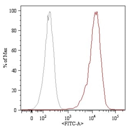 Flow Cytometry - Anti-CD105 Antibody [MEM-226] (FITC) (A85496) - Antibodies.com