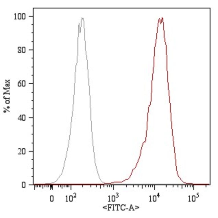 Flow Cytometry - Anti-CD105 Antibody [MEM-226] (FITC) (A85496) - Antibodies.com