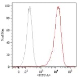 Flow Cytometry - Anti-CD105 Antibody [MEM-226] (FITC) (A85496) - Antibodies.com