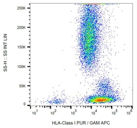 Flow Cytometry - Anti-HLA Class I Antibody [MEM-123] (A85507)