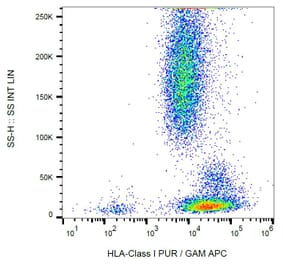 Flow Cytometry - Anti-HLA Class I Antibody [MEM-123] (A85506) - Antibodies.com