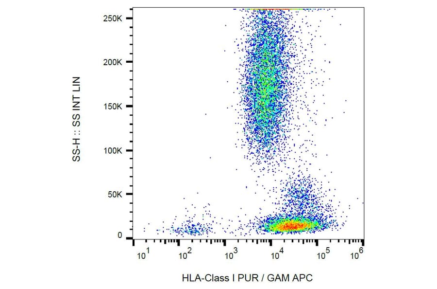Flow Cytometry - Anti-HLA Class I Antibody [MEM-123] (A85506) - Antibodies.com