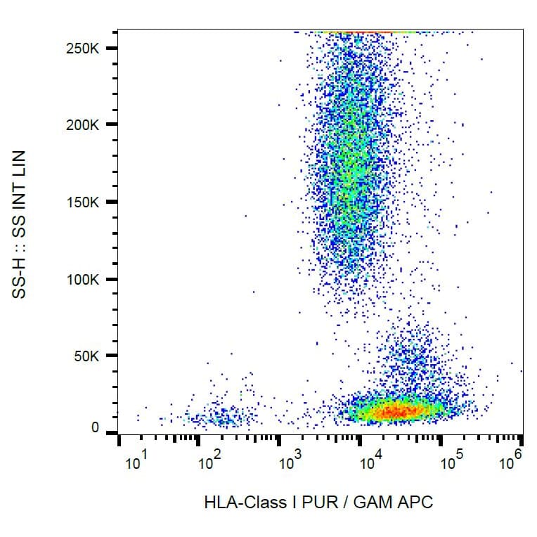 Flow Cytometry - Anti-HLA Class I Antibody [MEM-123] (A85506) - Antibodies.com