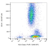 Flow Cytometry - Anti-HLA Class I Antibody [MEM-123] (A85506) - Antibodies.com