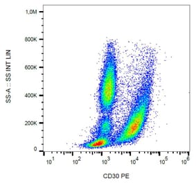 Flow Cytometry - Anti-CD30 Antibody [MEM-268] (PE) (A85511)