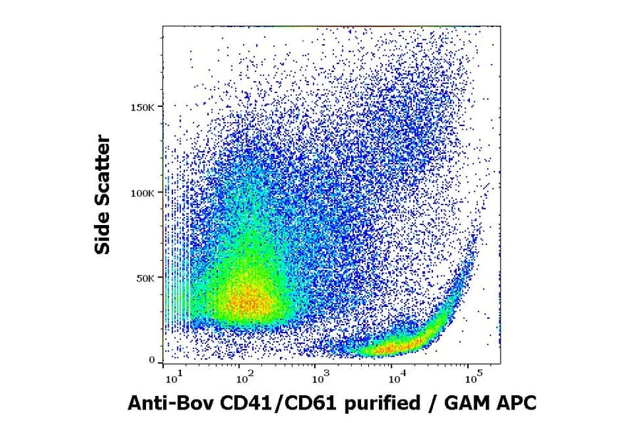 Flow Cytometry - Anti-CD41 Antibody [IVA30] (A85513)