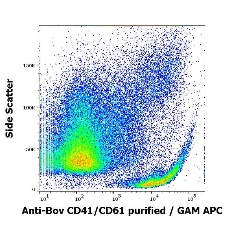 Flow Cytometry - Anti-CD41 Antibody [IVA30] (A85513)
