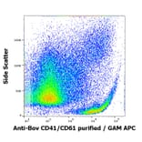Flow Cytometry - Anti-CD41 Antibody [IVA30] (A85513)