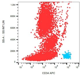 Flow Cytometry - Anti-CD34 Antibody [4H11[APG]] (APC) (A85512) - Antibodies.com
