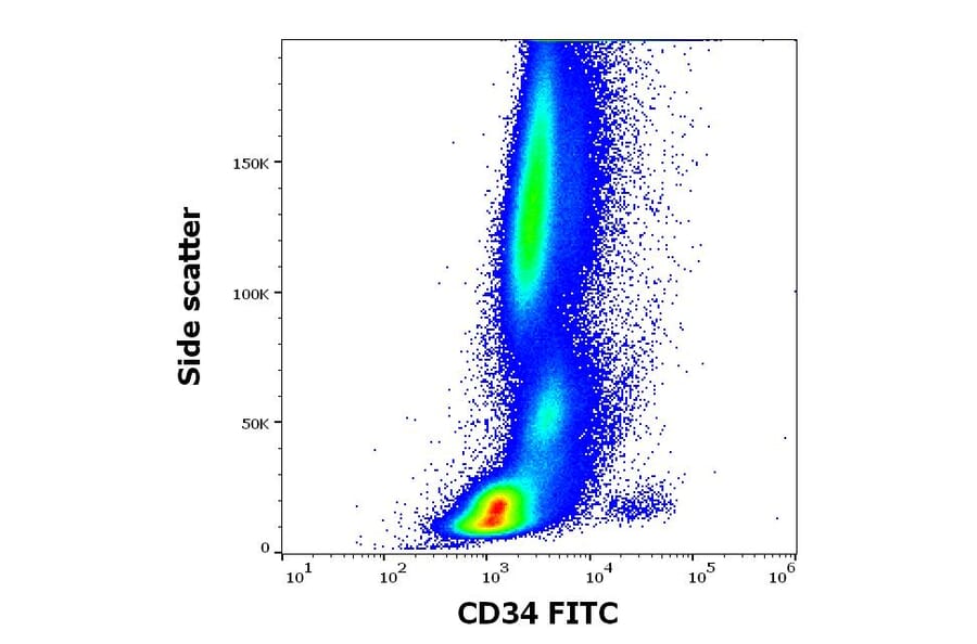 Flow Cytometry - Anti-CD34 Antibody [4H11[APG]] (FITC) (A85516)