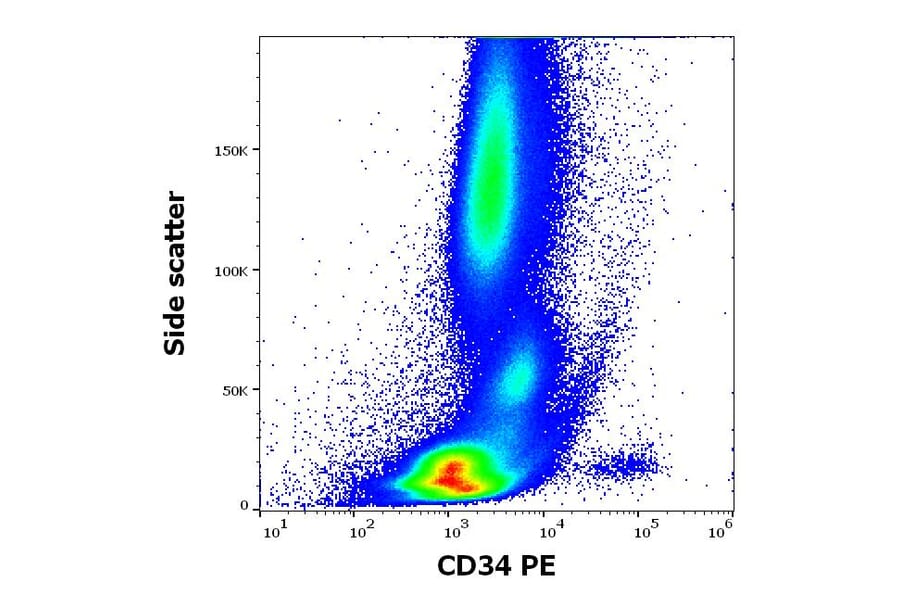 Flow Cytometry - Anti-CD34 Antibody [4H11[APG]] (PE) (A85517)