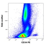 Flow Cytometry - Anti-CD34 Antibody [4H11[APG]] (PE) (A85517)