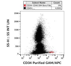 Flow Cytometry - Anti-CD34 Antibody [4H11[APG]] (A85518)